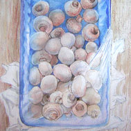 Watercolour of mushrooms