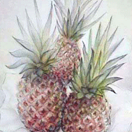Pineapples painting